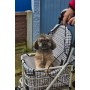 Armrest & Seat Shopping / Walking Trolley - Navy