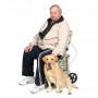 Royal Backrest with Armrest & Seat Shopping / Walking Trolley - Brown Tartan